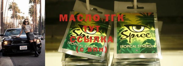 индика Богородицк