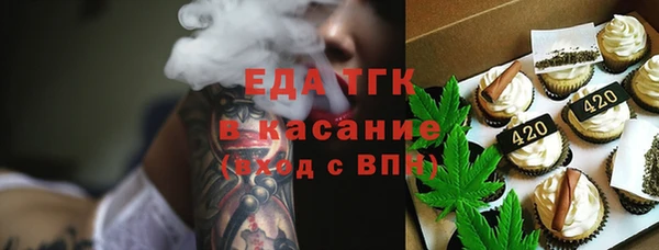 индика Богородицк