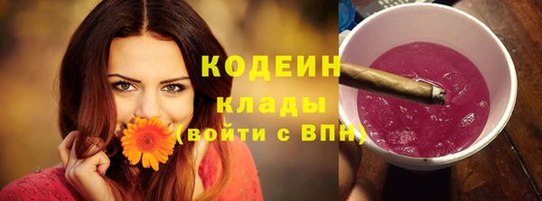 прущие грибы Беломорск