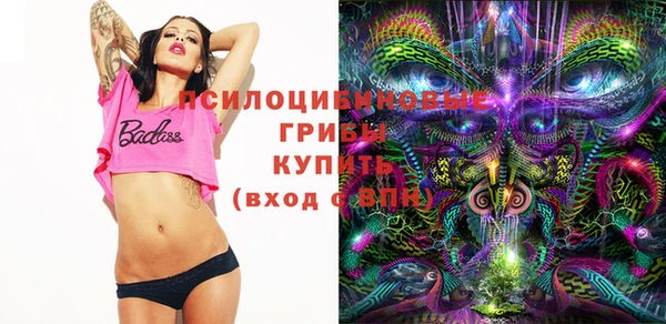 индика Богородицк