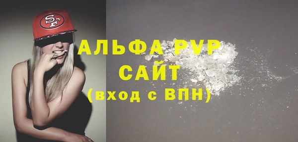 индика Богородицк