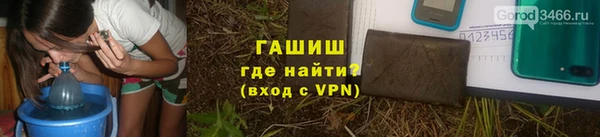 индика Богородицк