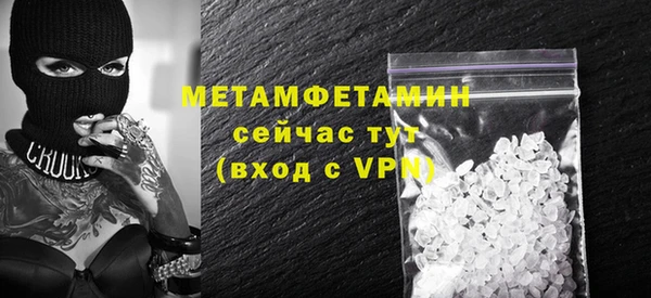 индика Богородицк