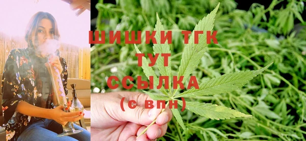 mdpv Богданович