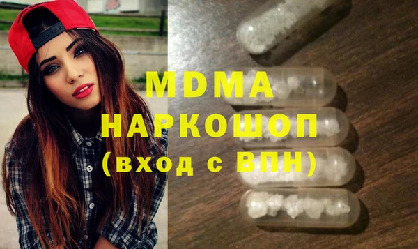 индика Богородицк