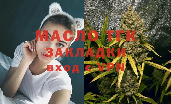 индика Богородицк