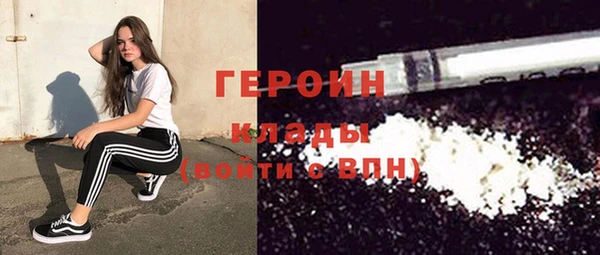 индика Богородицк