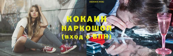 индика Богородицк