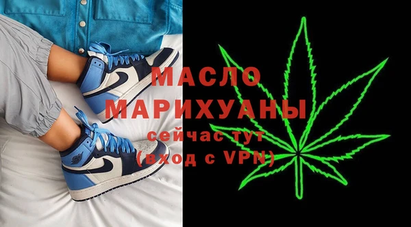 индика Богородицк