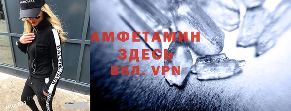 индика Богородицк