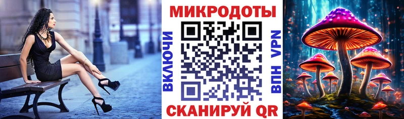 где найти   Вязьма  Псилоцибиновые грибы MAGIC MUSHROOMS 